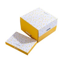 Custom Design Environmental Cookies Box Packaging Design Cake Box